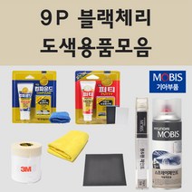 순정품 기아 9P 블랙체리 자동차 차량용 붓펜 카페인트 도색 스프레이 뉴 더뉴 SUV 스포티지 R, 08.프라이머(모비스)