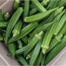생 오크라 특품 오크라 Okra 200g 1kg 생오크라 식이섬유 당뇨 예방 반찬 싱싱한 오쿠라 볶음밥 재료 계란말이 레이디핑거