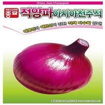 아시아 천주적양파 씨앗 2.5g