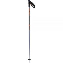 SALOMON 살로몬 스키 폴 스틱 ARCTIC S3 2022-23 모델 L41530500, 3 건메탈