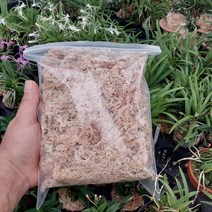 수태 뉴질랜드 3A 고급 풍란 난 이끼 분갈이, 3A수태 (뉴질랜드) 100g, 1개
