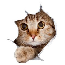 차량용 냉장고 미니 냉온장고 캠핑용 온장고 3Ratels CM29 사랑스러운 고양이 페르시아 Birman Bombay 영국, 10 CM29-10_04 40cm(15.75 inch)