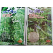 참깨코팅씨앗 /수지3000립/설향3000립/흑참깨 3000립/안산참깨 3000립, 수지참깨3000립