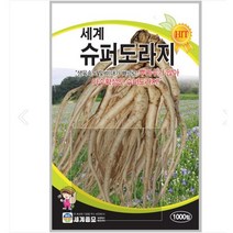 슈퍼도라지 1000립 / 토종 도라지 씨앗 종자 텃밭키우기 채소키우기