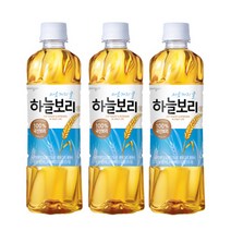 웅진 하늘보리
