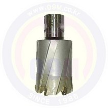 브럿치컷터(SHORT) TCT 39 X 35 (AGP), 상세확인