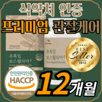 프리미엄 보스웰리아 akba kba 초록입 초록잎 홍합 보수 보이스 보슬 웨리아 윌리아 엘리아 보셀리아 성인 남성 여성 남자 여자 노인 관절 연골 무릎 무릅 어깨 뼈 건강 보충제, 120정(2개월)