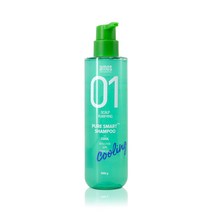 아모스 01 퓨어 스마트 쿨 샴푸 500g 쿨샴푸 정품 특판가, 500ml, 2개