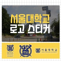 서울대학교 로고 포인트 스티커 데칼 스킨, 8번(소형-블루투명), 1개