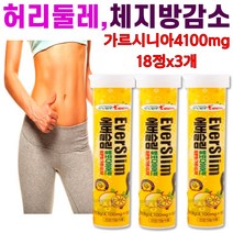 레몬 비타민 발포 다이어트 마시는 단기간 일주일 복부 뱃살 출산후 체지방 감소 가르시니아 HCA 50대 남자