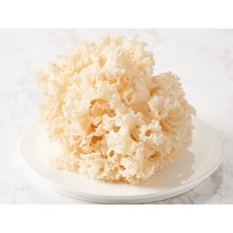 최고급생꽃송이버섯, 일반포장, 1kg