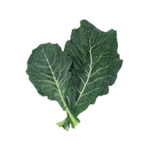 야채24닷컴 즙케일 1단 450g, 1개