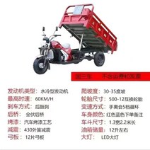 삼륜 오토바이 스쿠터 농업용 덤프 화물 적재, 3륜 200 공랭 1.3 곱하기 2