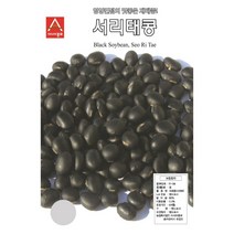 아시아종묘 콩씨앗종자 서리태콩(50g)
