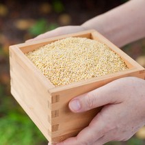 국산 기장 무농약 좁쌀 노란기장 햇잡곡 조 기장쌀, 기장(무농약) 500g