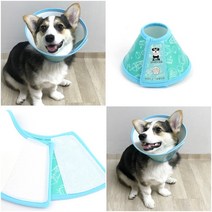 소형견넥카라 강아지목보호 강아지넥 반려동물넥카라, 4호