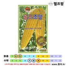 헬프팜 골드초당 옥수수50립 생식 씨앗 종자 KS종묘