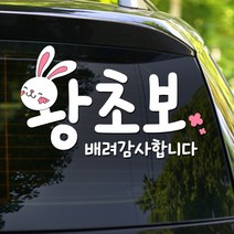 108 STUDIO 왕초보운전 왕초보 차량스티커 K30, 왕초보K30-C(토끼), 미디움, 1개