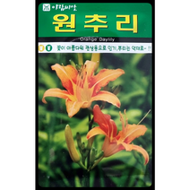 원추리 꽃씨앗30립 아람종묘, 1개
