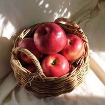 안동겨울 부사 드시고 건강해져봐요 (중소과 5kg/28과내외 중과 5kg / 23과 내외), 중소과5kg(개당170g/28과내외), 2000