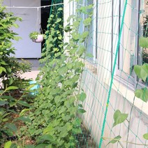 오이 그물망 고추망 원예 정원 식물 지지 넝쿨망 호박망 유인망 덩쿨 가든네트 그물 1.8x1.8