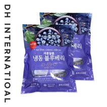 이츠웰 한입 냉동 블루베리 1.2kg (60g X 20개), 단품