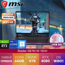 MSI 노트북 Raider GE78 HX 13VH-i9 QHD Win11 (227KR) 17인치 고사양 고성능 게이밍 노트북 (코어i9-13950HX/RTX4080), WIN11 Home, 64GB, 4TB, 코어i9, black