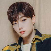 탈모 군인 맞춤 정수리 남자가발 남성 통가발 솔리드 컷, L, 내츄럴브라운