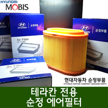 테라칸 에어필터 / 28113 H1915 / 테라칸 2.9디젤 순정 에어필터 / 28113H1915 / 순정부품