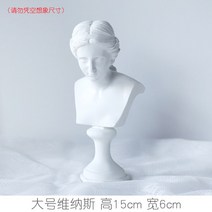 데이비드 석고 그림 미술 정물 스케치 촬영 소품 장식, 대형 비너스