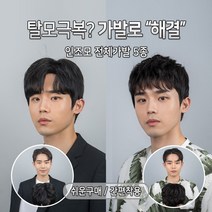 가발닷컴 ABC 전체가발 5종 탈모극복 쉬운착용 인조모 남자가발 남자, 1개, 5. 시스루 댄디펌 L 자연갈색