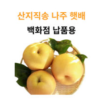 나주배 5kg/7.5kg 선물세트 가정용 명절선물세트, 00. 3kg (대형마트납품용)
