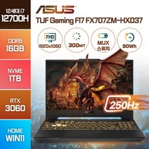 ASUS TUF Gaming F17 FX707ZM-HX037 인텔 12세대 i7-12700H RTX3060 윈도우11, 메카 그레이, FX707ZM, 코어i7, 1TB, 16GB, WIN11 Home