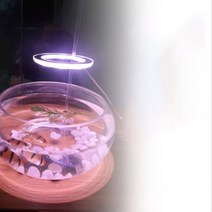 식물재배기 수경 재배기 가정용 실내 스마트팜 LED 채소 야채 재배 상추 키우기 베란다 텃밭 G i 천사 반지 온실 i 램프, 화이트 핑크, 트리플 헤드