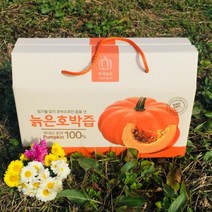 나애게 전남무안 늙은 호박즙100mlx30팩, 단품없음, 선택완료