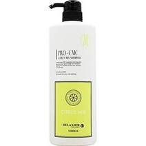 일본직발송 6. 디락시오 지요다 화학 디럭시오 프로 CMC 감귤류 믹스 샴푸 1000ML 1.0 리터 (X 1) B07FBYZ, One Size, One Color