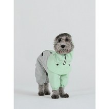 산책용 바람막이(우비겸용)_푸들 라인_피스타치오, XL