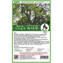 브랜드없음 녹나무씨앗 500g[SG]