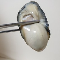통영 생굴 최상급 3kg 5kg 오후 6시 이전 주문 시 당일발송, 1박스, 2kg