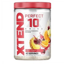XTEND 엑스텐드 퍼펙트 10 아미노 EAA 필수아미노산 파우더 프루츠 펀치 400g(14.1oz), 1개, 1