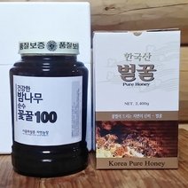 [시골외삼촌자연농장] 자연숙성된 천연밤꿀 순도높은 밤꿀 밤나무꿀 100% 2.4kg /충남공주, 밤꿀 2.4kg 유리병