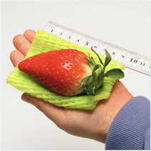산지직송 논산 킹스베리 당도보장 대왕딸기 특가350g 700g 1kg, 킹스베리 1kg(500g*2팩/25~35g)