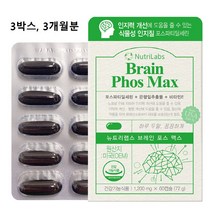 식약처 인증 포스파티딜세린 ps 뇌 영양제 300mg 캡슐 징코 대두 미국산 은행잎추출물 ncs 두뇌 건강 기억력 인지력 수험생 청소년 중년 노인 효능 추천 식약청 인정 제품, 3box 총 대용량, 1box당 60캡슐