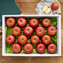 만족도 1위 쿠메푸드 산지직송 프리미엄 2022년 제철 햇 사과 설 추석 선물 세트, 프리미엄 햇사과 5kg