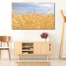 유홍아트 벼이삭 가을 와이드 풍경 사진 그림 액자 10호(53x33cm) (5956341)