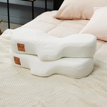 베개날다 한아름 생활방수 비스코스 기능성 경추베개, 비스코스(1+1)