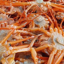 구룡포 자숙홍게 연지 홍게 포항 제철 선주직송 10마리 2kg 3kg 내외, 고급형 10마리, 10개