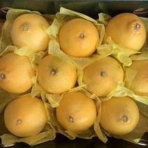 제주 산지직송 천혜향 황금향 3kg 5kg 명절 설 추석 선물세트, 1box, 소과 2kg(10과내외)