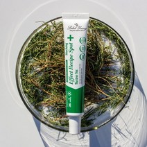 라벨영 민감 피부진정 국소부위 스팟크림/쇼킹효과레시피 티트리버전 2+1 317636