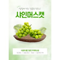 [GAP인증] 안성 고당도 샤인머스켓 망고포도 정품, 4kg, 1개